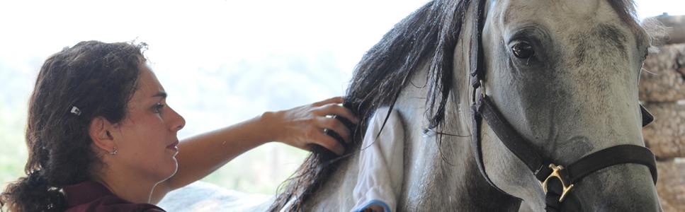 Mehr zu diesem Thema